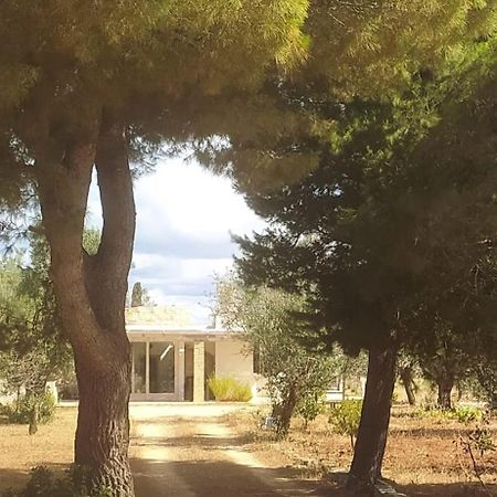 Trullo Contrada Specchi Daire Racale Dış mekan fotoğraf