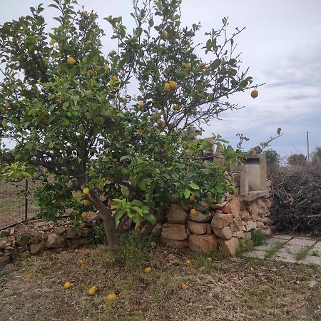 Trullo Contrada Specchi Daire Racale Dış mekan fotoğraf