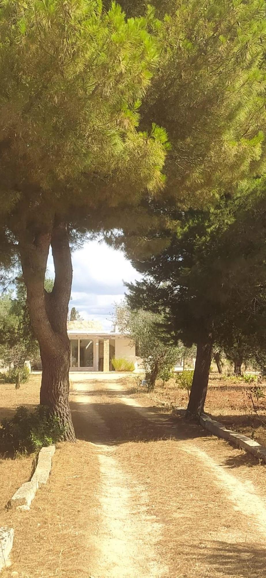 Trullo Contrada Specchi Daire Racale Dış mekan fotoğraf