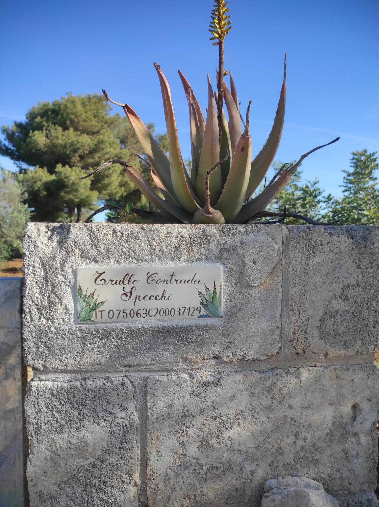 Trullo Contrada Specchi Daire Racale Dış mekan fotoğraf
