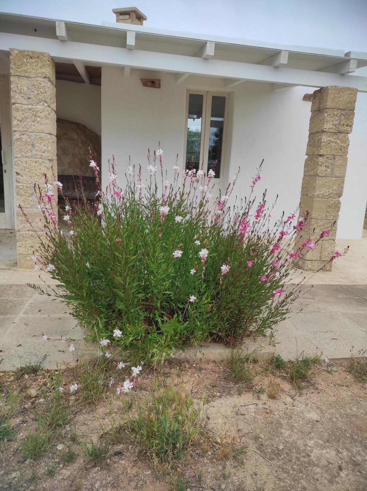 Trullo Contrada Specchi Daire Racale Dış mekan fotoğraf