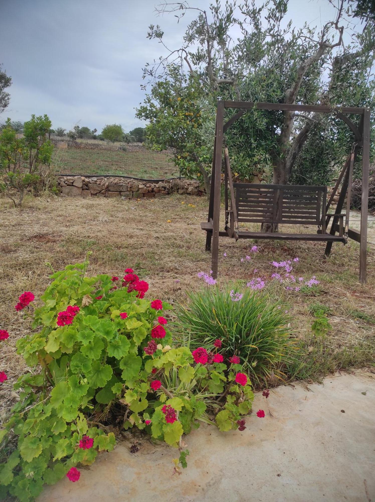 Trullo Contrada Specchi Daire Racale Dış mekan fotoğraf